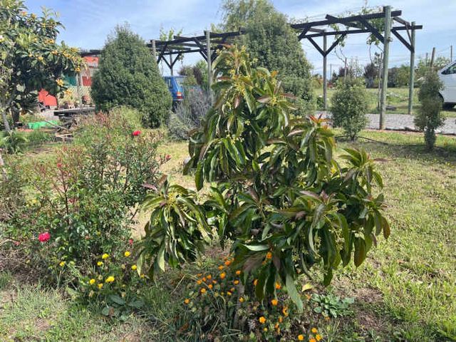 PARCELA EN EL CONVENTO, SANTO DOMINGO V REGION