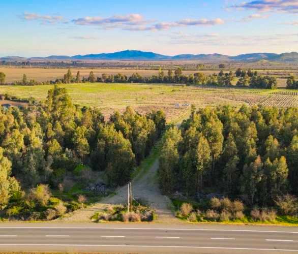 Raices de San Javier