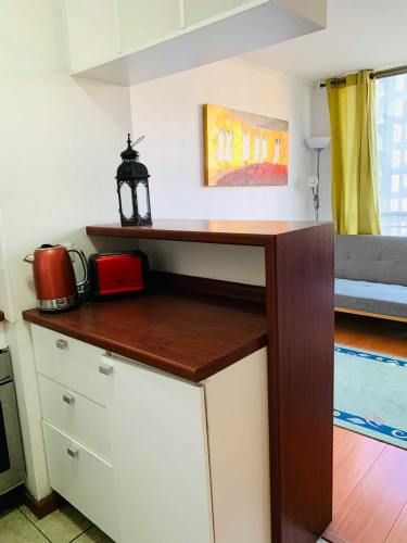 Hermoso Departamento Amoblado (127917)