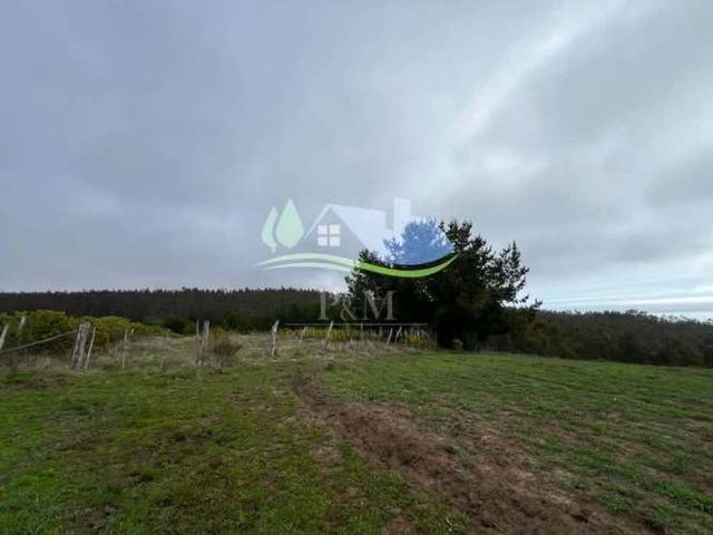 Se vende terreno agrícola en Achira, Cobquecura