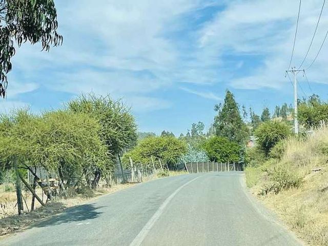 Hermosas Parcelas en Navidad (127978)