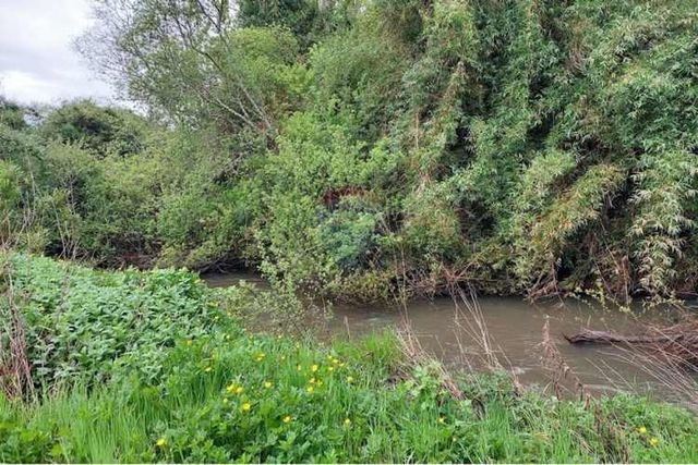 Proyecto de parcelas centinela 1 la unión