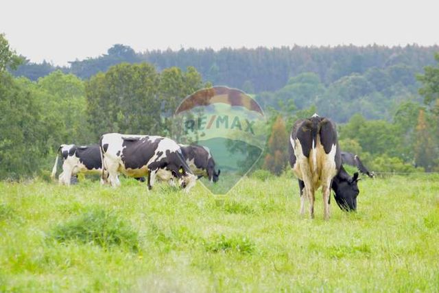Proyecto de parcelas centinela 2 la union