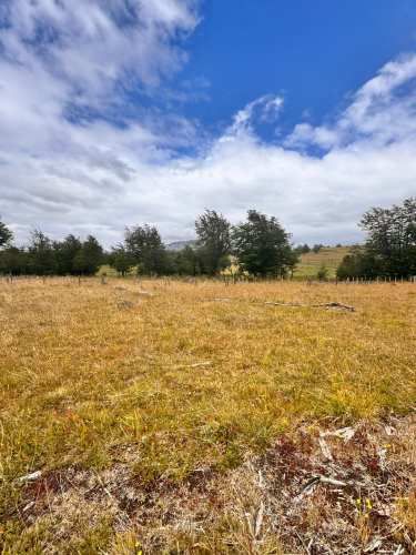 parcela sector la chilenita