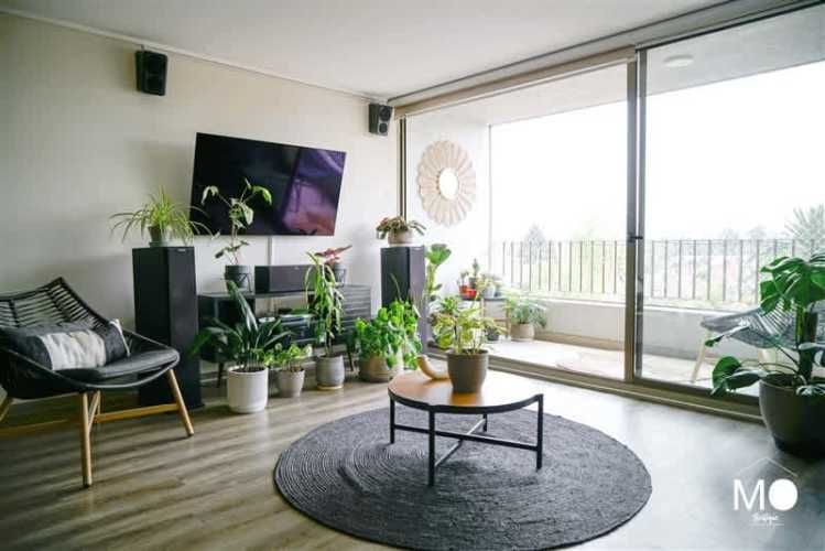 DEPARTAMENTO Las Dalias