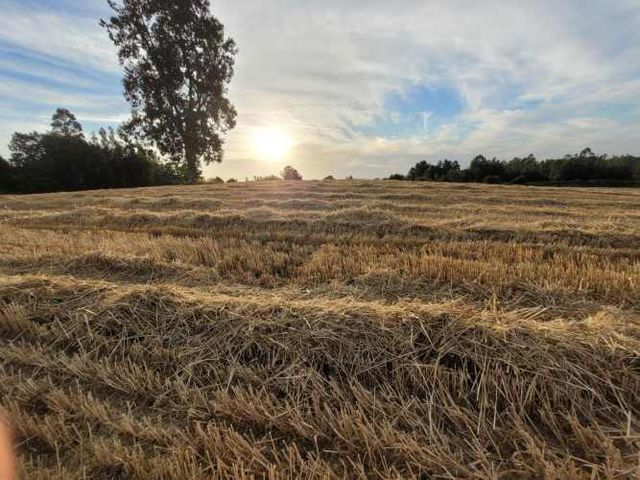 Lindas Parcelas De 5.000 En Sector Muy Tranquilo!