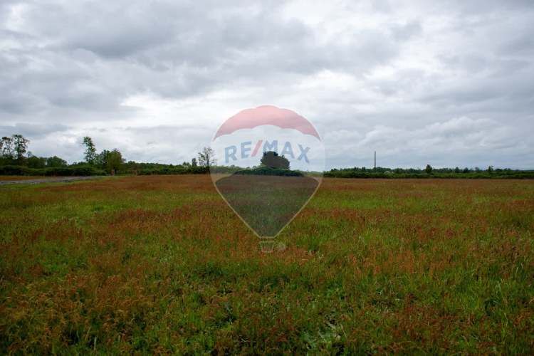 Proyecto las mercedes la unión