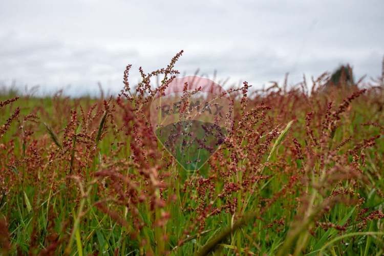 Proyecto las mercedes la unión