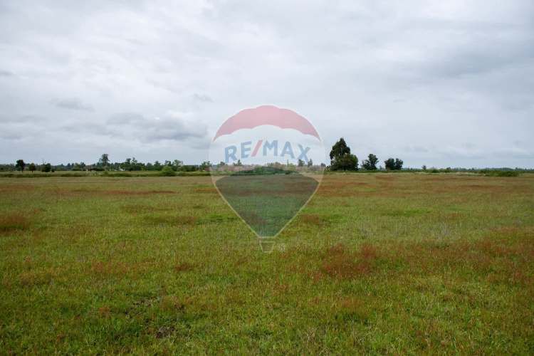 Proyecto las mercedes la unión