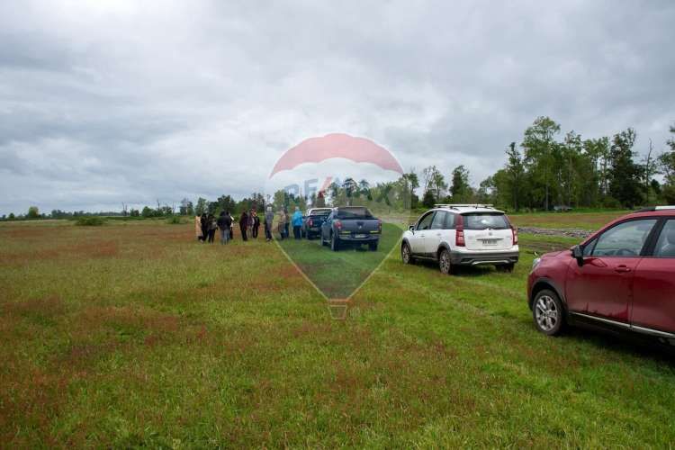 Proyecto las mercedes la unión