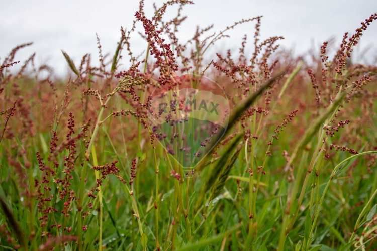 Proyecto las mercedes la unión