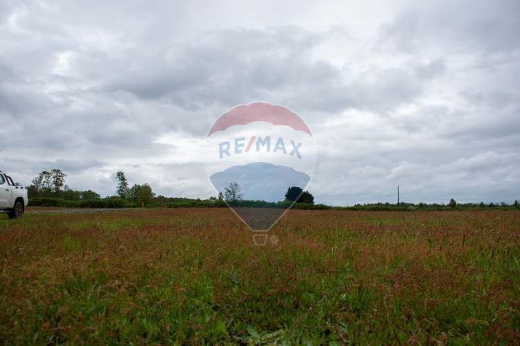 Proyecto las mercedes la unión