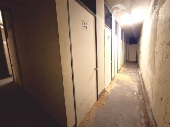 DEPARTAMENTO Barrio Poniente