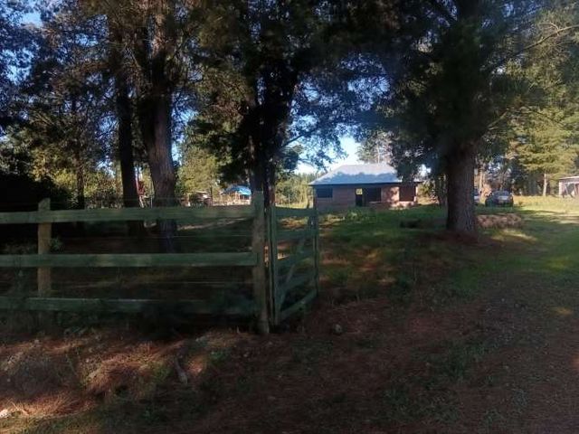 VENTA PARCELA 5000MTS Parral