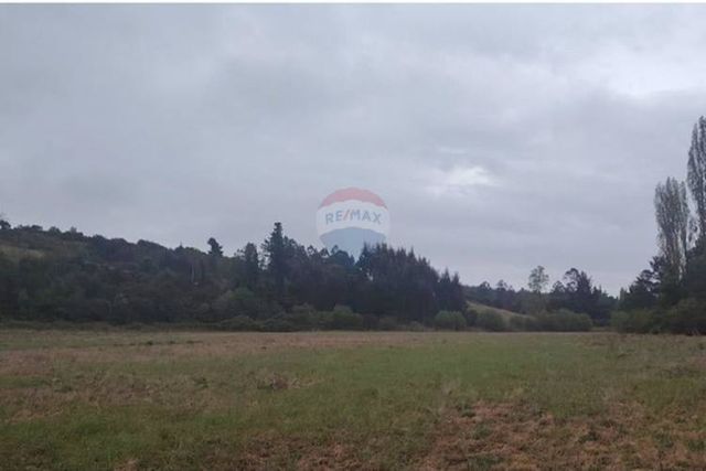 Proyecto de parcelas centinela 1 la unión