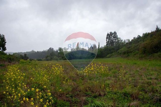 Proyecto de parcelas centinela 1 la unión