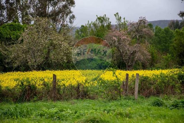 Proyecto de parcelas centinela 2 la union