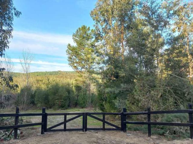 Parcelas agrícolas de 5.000 m² en Marchigüe