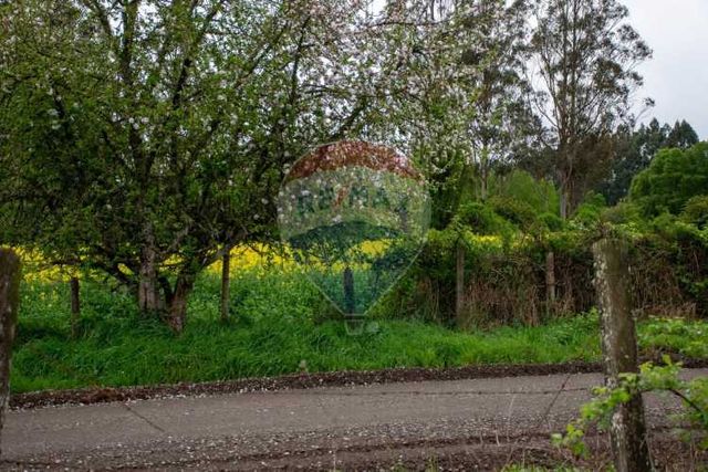 Proyecto de parcelas centinela 2 la union