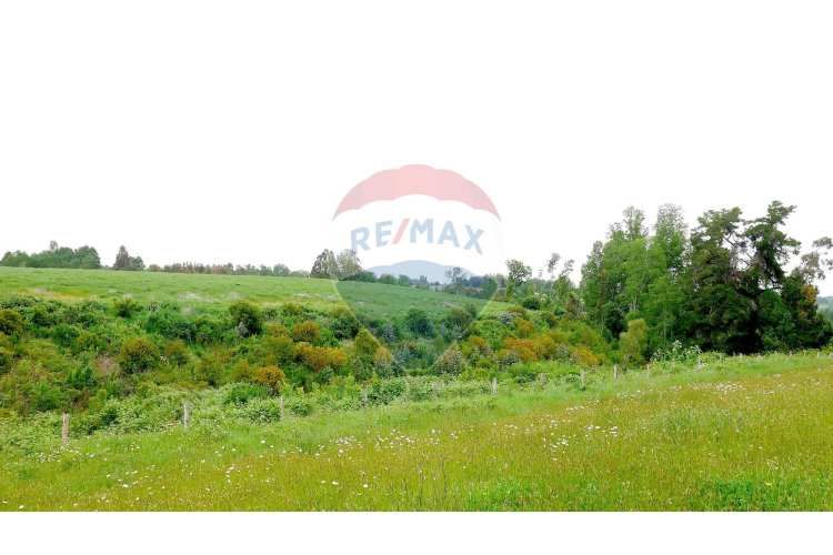 Proyecto de parcelas centinela 2 la union