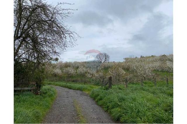 Proyecto de parcelas centinela 2 la union