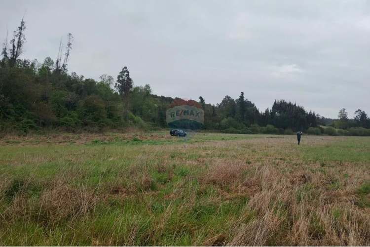 Proyecto de parcelas centinela 2 la union