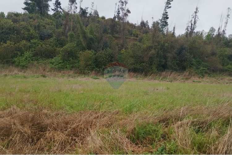 Proyecto de parcelas centinela 2 la union