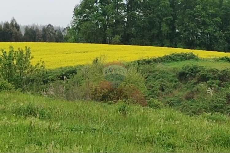 Proyecto de parcelas centinela 2 la union