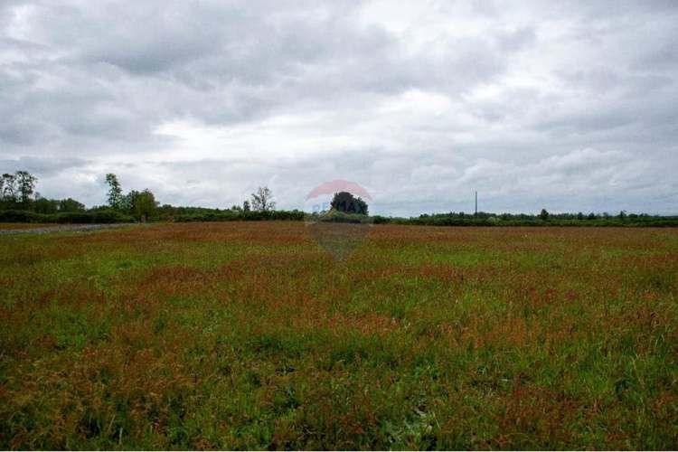 Proyecto de parcelas centinela 2 la union
