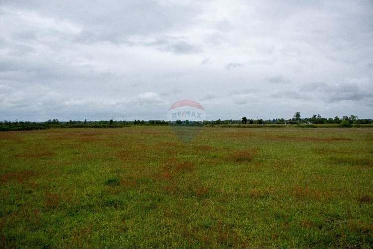 Proyecto de parcelas centinela 2 la union