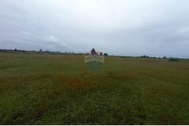 Proyecto de parcelas centinela 2 la union