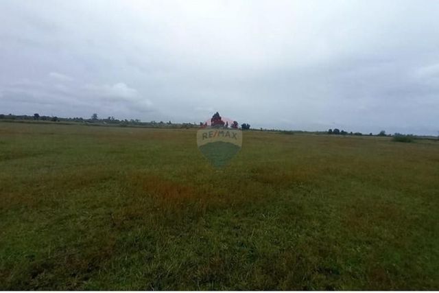 Proyecto de parcelas centinela 2 la union