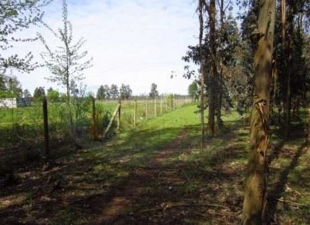 PARCELA Ubicada a 7 km. de la salida Sur de la comuna de Bulnes, por ruta 5 - Sur