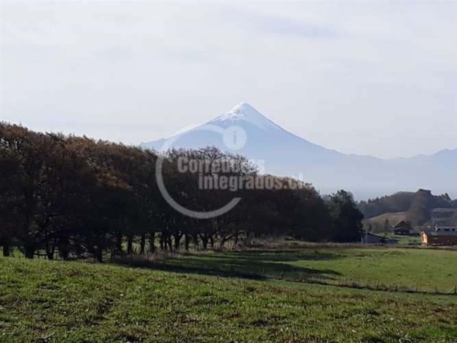 PARCELA FRUTILLAR/LLANQUIHUE