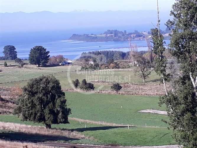 PARCELA FRUTILLAR/LLANQUIHUE