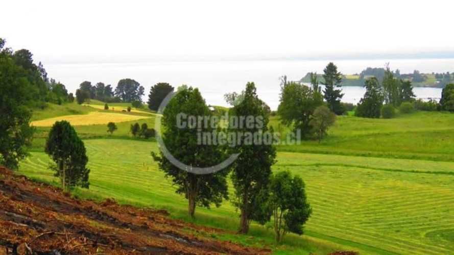 PARCELA FRUTILLAR/LLANQUIHUE