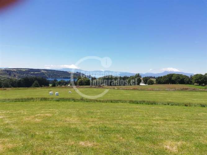 PARCELA FRUTILLAR/LLANQUIHUE