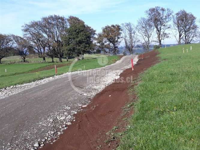 PARCELA FRUTILLAR/LLANQUIHUE