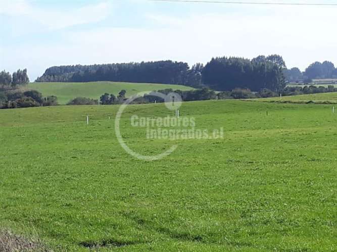 PARCELA FRUTILLAR/LLANQUIHUE