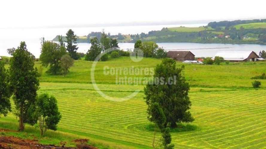 PARCELA FRUTILLAR/LLANQUIHUE