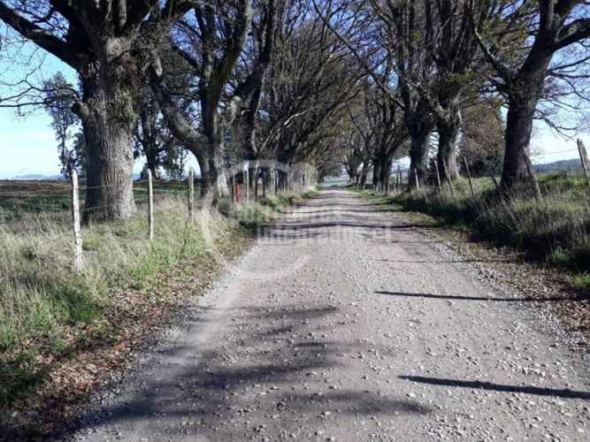 PARCELA FRUTILLAR/LLANQUIHUE