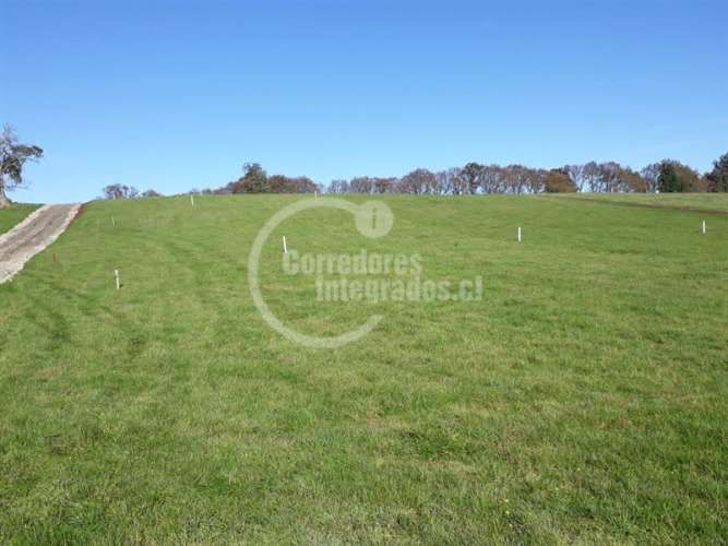 PARCELA FRUTILLAR/LLANQUIHUE