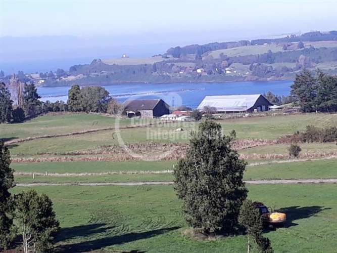 PARCELA FRUTILLAR/LLANQUIHUE