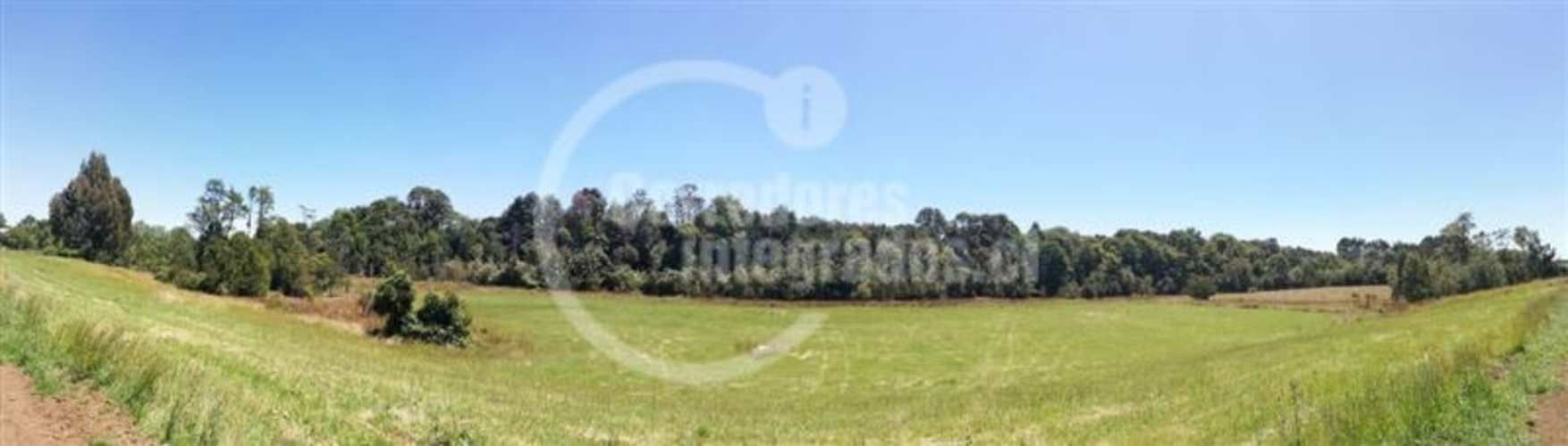 PARCELA FRUTILLAR/LLANQUIHUE