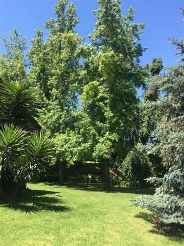 PARCELA restaurant munchner