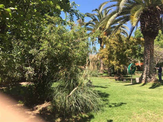 PARCELA restaurant munchner