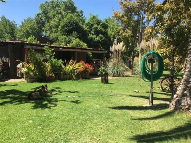 PARCELA restaurant munchner