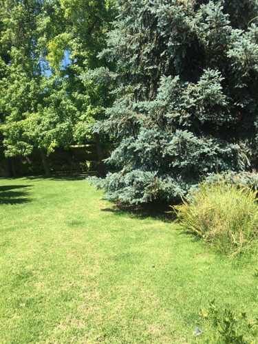 PARCELA restaurant munchner