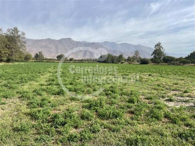 AGRICOLA AUCO - RINCONADA