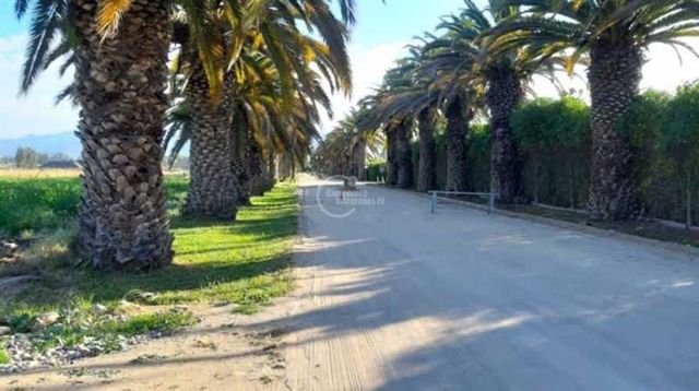 PARCELA avenida carampangue